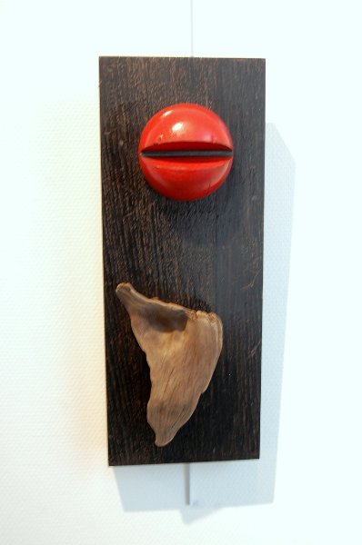 Exposition Mâcon 2013 - Photo 16