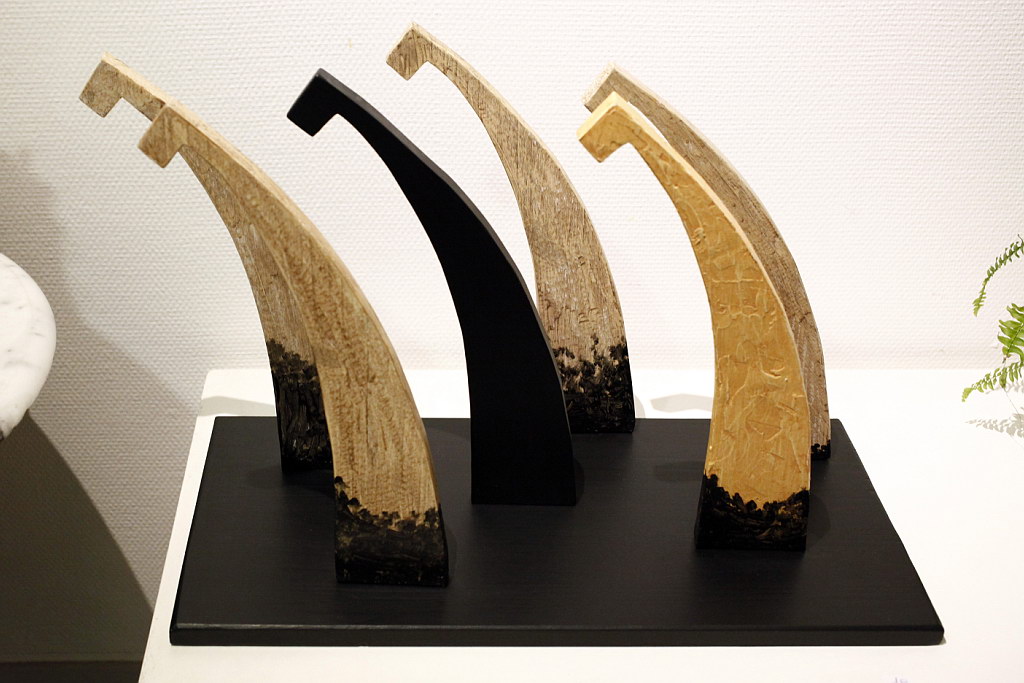 Exposition Mâcon 2017 - Photo 3