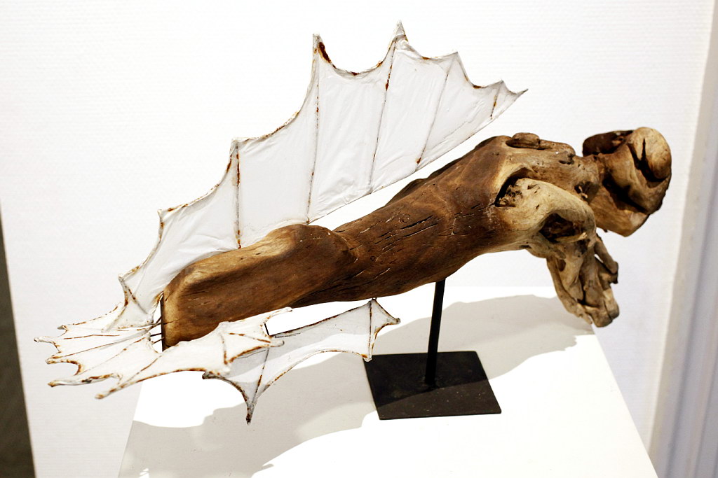 Exposition Mâcon 2017 - Photo 6