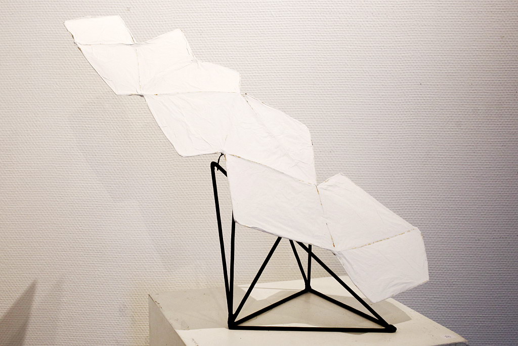 Exposition Mâcon 2017 - Photo 21